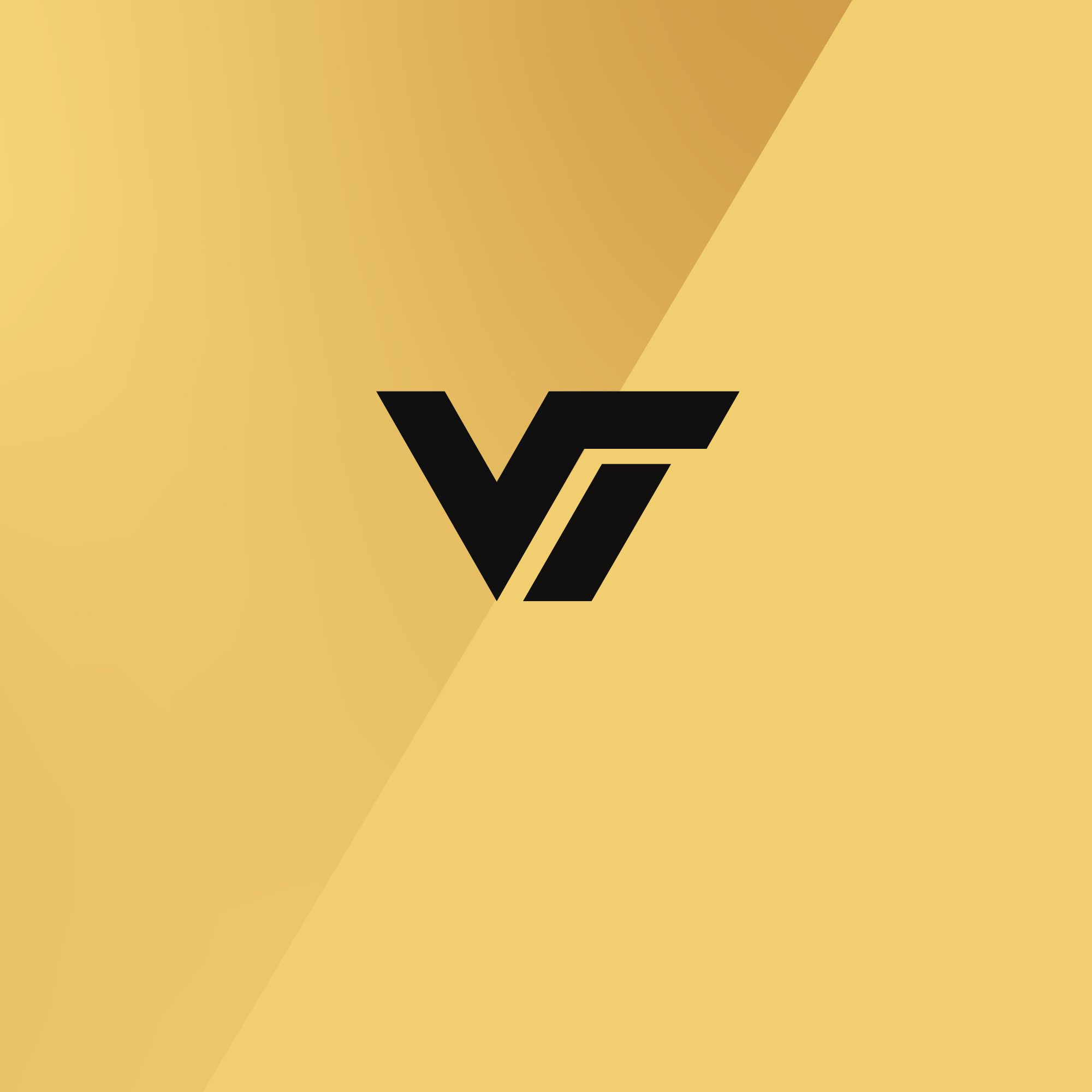 Vishwanath Traders Logo